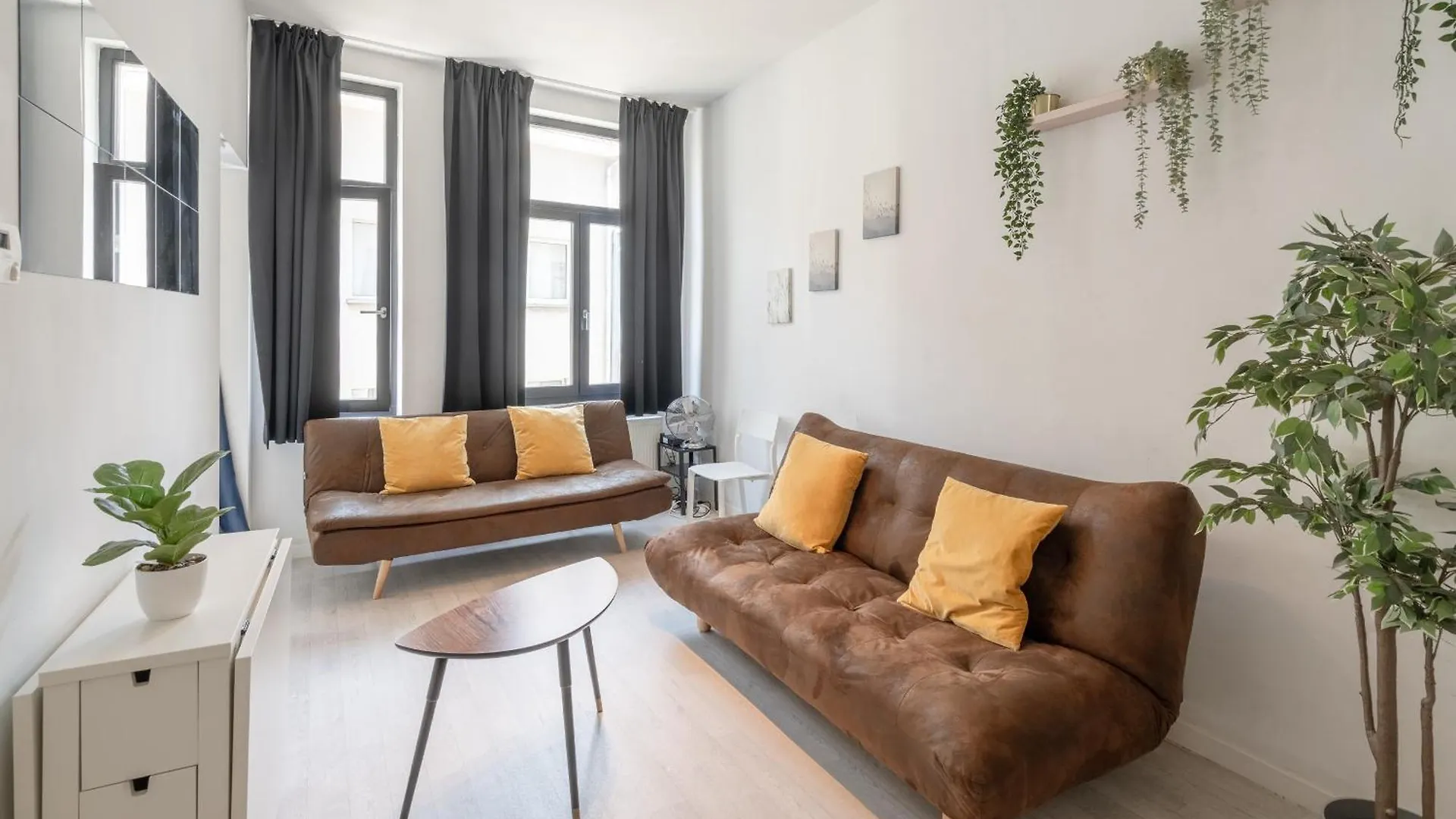 Beautiful Cozy Cityflats In The Centre Of Antwerp contacts